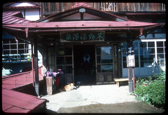 b0087456_23422149.jpg