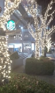 f0200871_0224370.jpg
