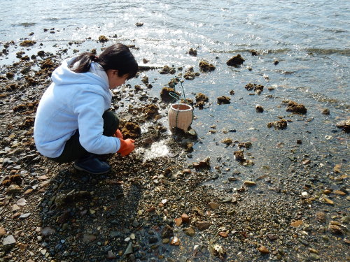 f0054677_08330698.jpg