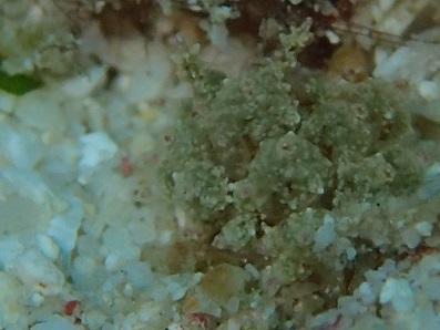 a0108380_15184235.jpg