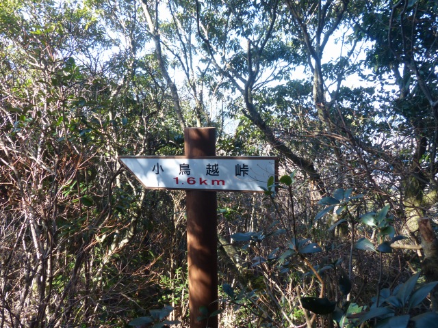 f0357487_2113215.jpg