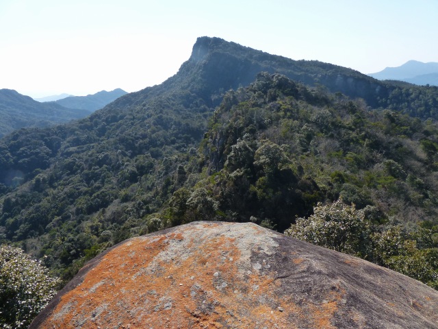 f0357487_2119790.jpg