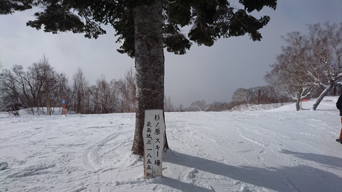 e0015490_22522632.jpg