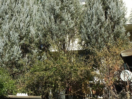 c0152002_18012603.jpg