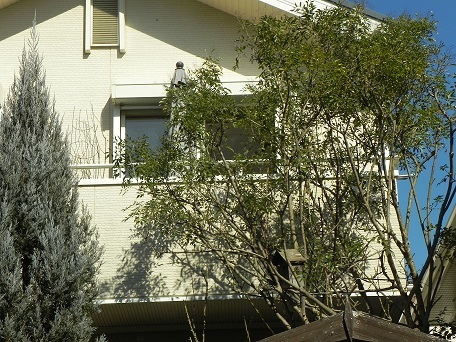 c0152002_18020131.jpg