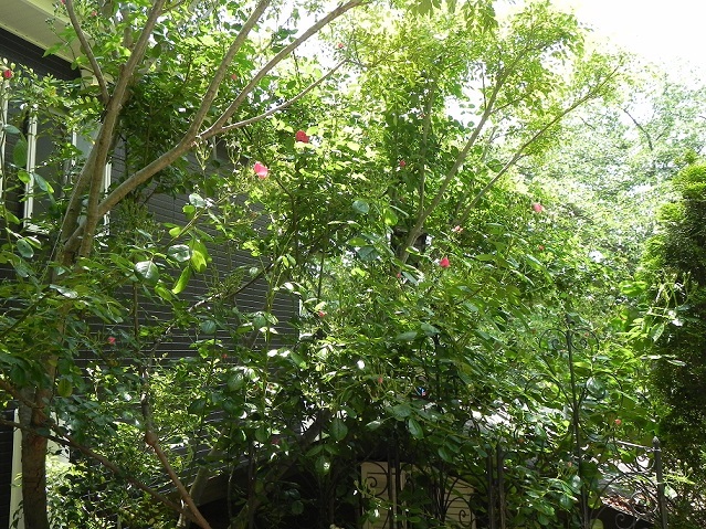 c0152002_18025118.jpg