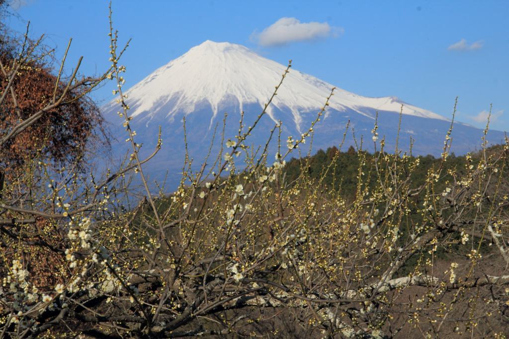 a0188405_09183327.jpg