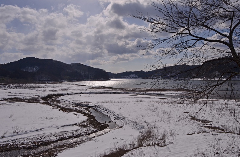 e0349817_20075339.jpg