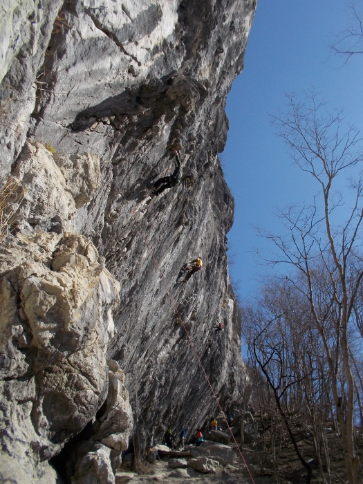 b0037220_21593609.jpg