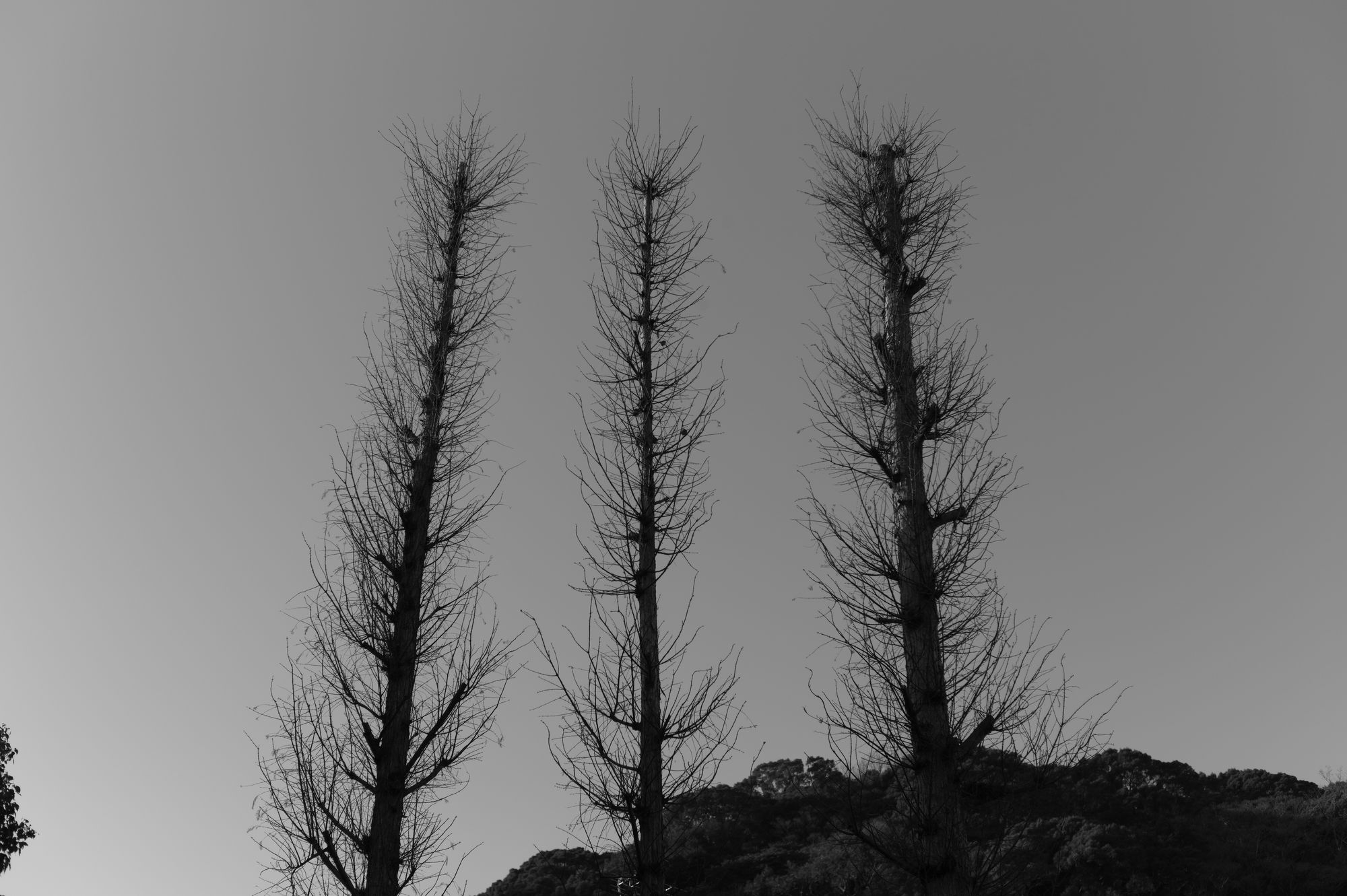 d0032222_22334958.jpg