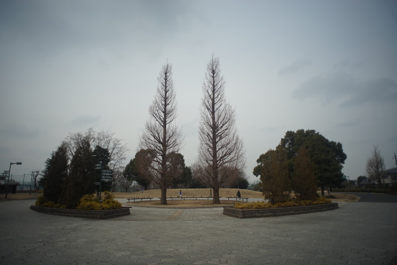 c0109827_17154911.jpg