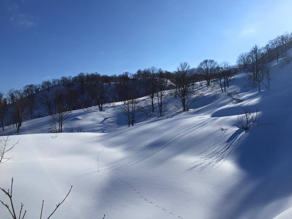 a0119132_17364713.jpg