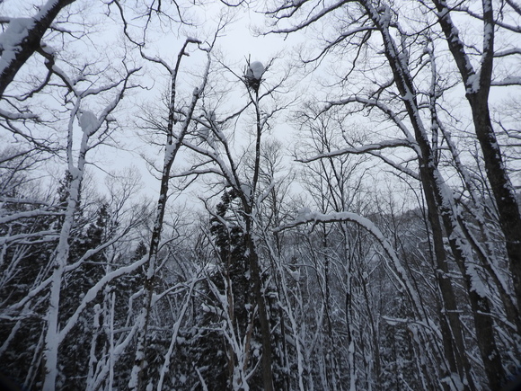 f0118332_2315556.jpg