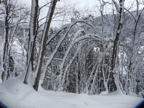 f0118332_2392524.jpg