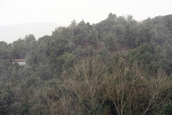 f0234936_924725.jpg