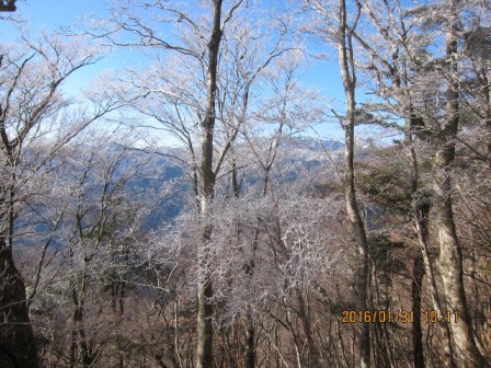 b0148050_21391778.jpg