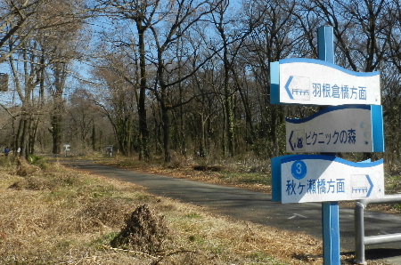 e0172950_19161056.jpg