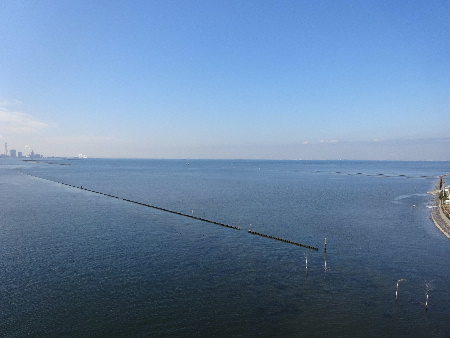 e0172950_7312967.jpg