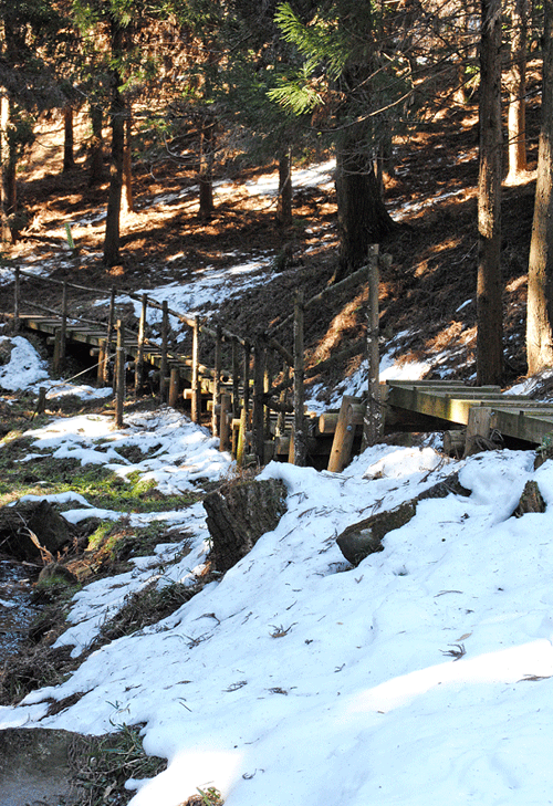a0001354_20103730.gif