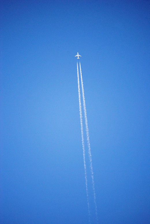 a0001354_201511.gif