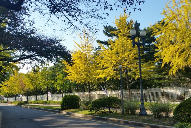 f0201054_2371071.jpg