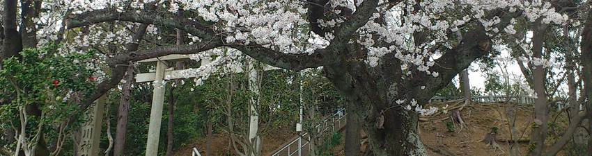 a0057057_14574696.png