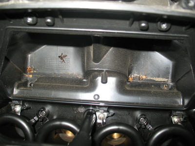 e0114857_0291176.jpg