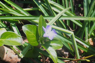 e0088260_22401417.jpg