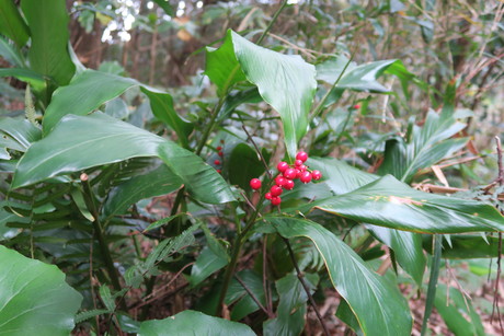 e0292172_2081224.jpg