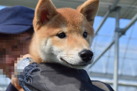 b0242873_02275747.png