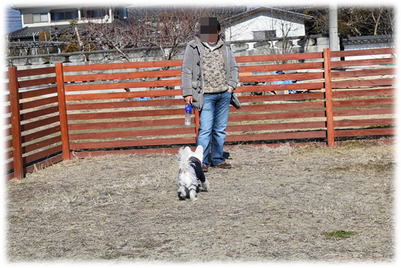 b0242873_02473437.png