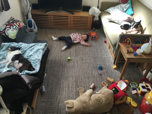 d0041575_00134935.jpeg