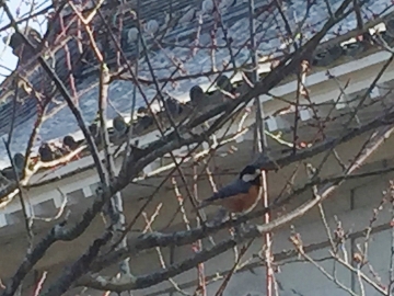 c0155198_2331326.jpg