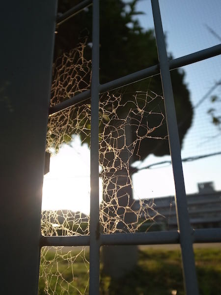 f0192998_7271350.jpg