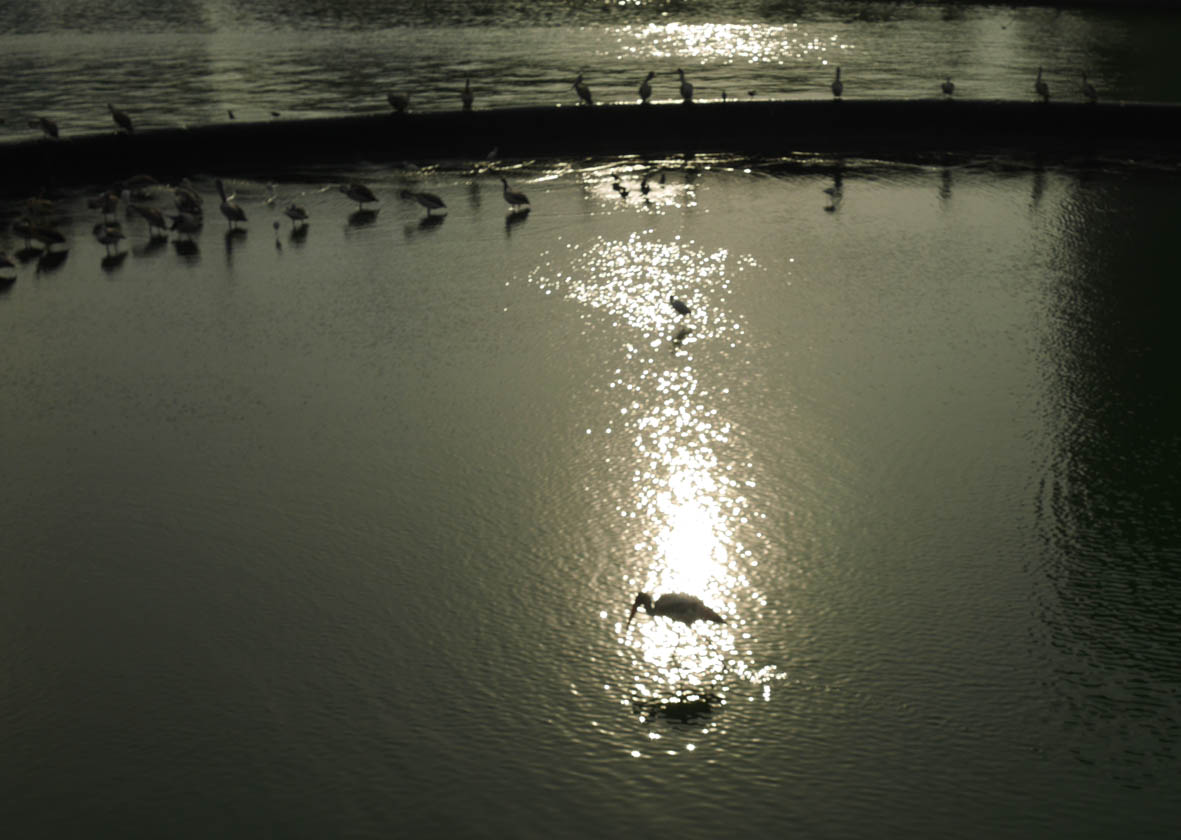 e0064400_0113885.jpg