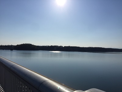 a0134004_9572731.jpg
