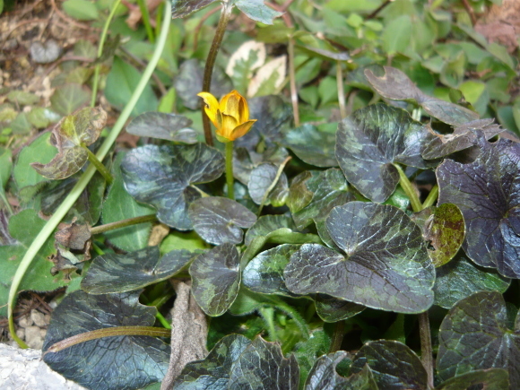 a0139007_14392543.jpg