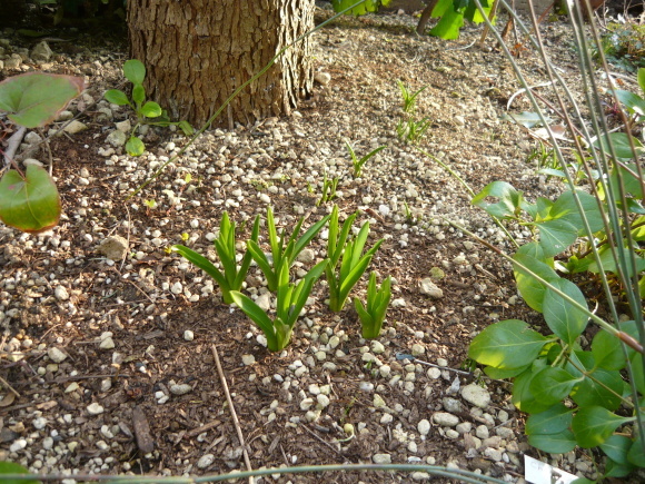 a0139007_14402539.jpg