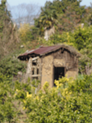 e0312121_223851.gif