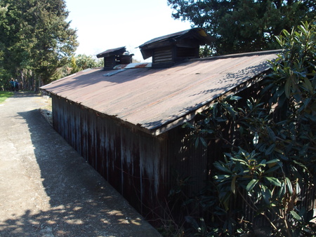 e0312121_2271669.jpg