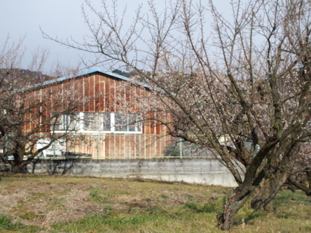 e0312121_229566.jpg