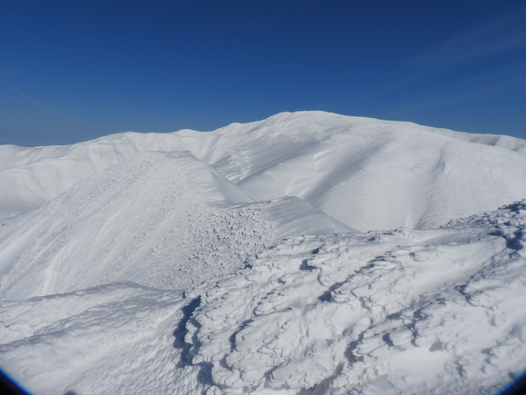 f0118332_2311196.jpg