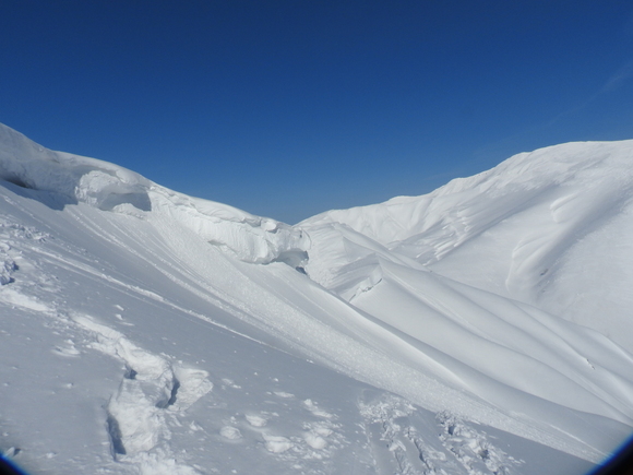 f0118332_2324635.jpg
