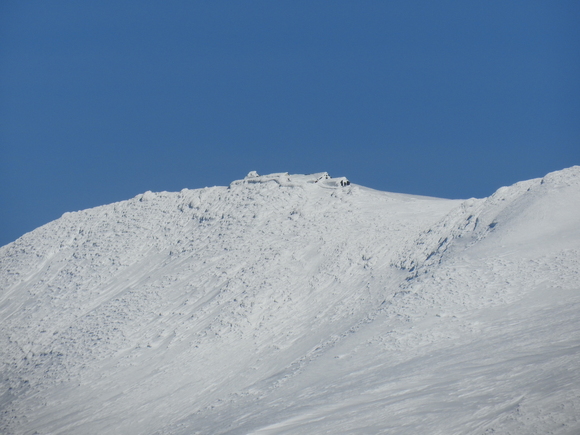f0118332_2331329.jpg