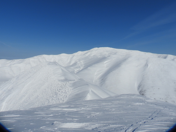 f0118332_2345760.jpg