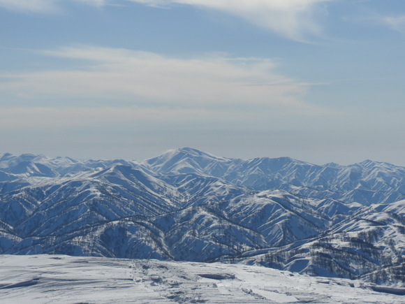 f0118332_2393564.jpg