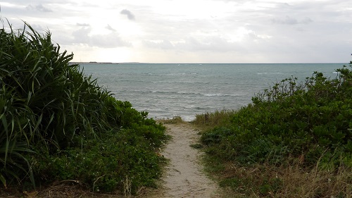 a0167341_22262433.jpg