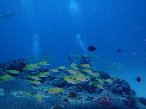f0014842_16154153.jpg