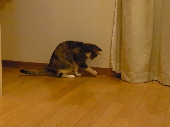 a0305046_09203921.jpg