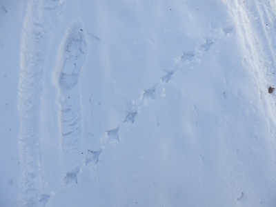 b0126549_18163386.jpg